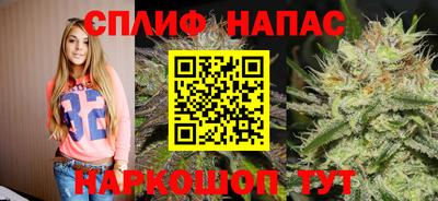 гидра Заволжье