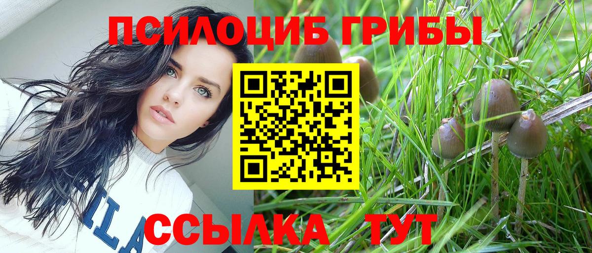 Псилоцибиновые грибы прущие грибы Мыски