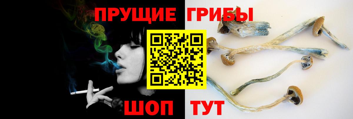 Псилоцибиновые грибы мицелий  Галлюциногенные грибы Psilocybine cubensis  Вход с VPN  Мыски 